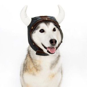 NWT: Dogo New York Viking Helmet Hat!